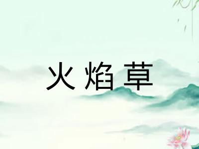 火焰草