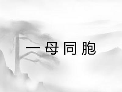 一母同胞