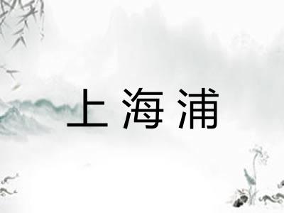 上海浦
