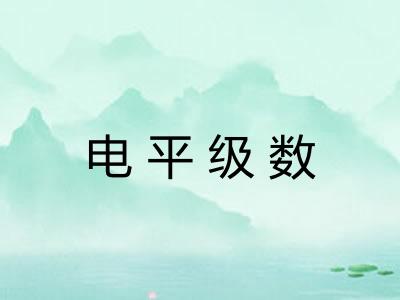 电平级数