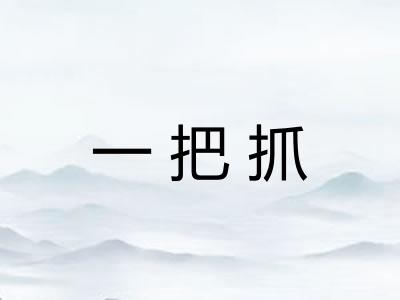 一把抓
