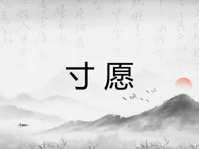 寸愿