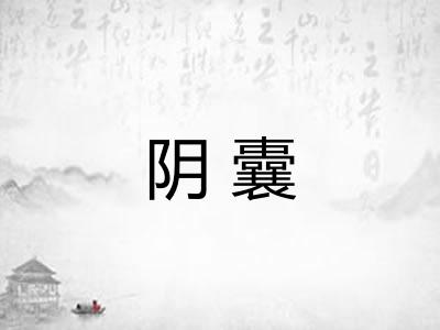 阴囊