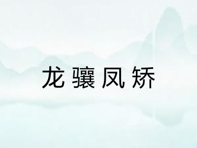 龙骧凤矫