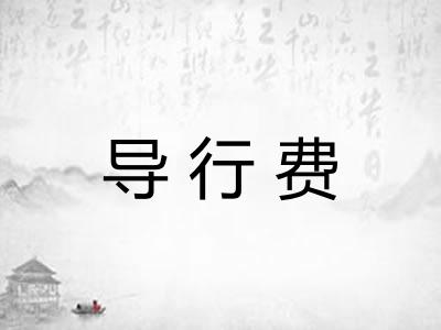 导行费