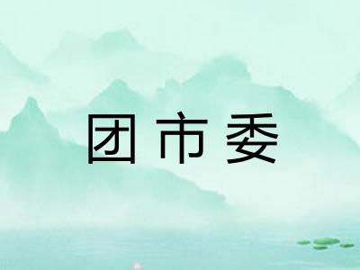 团市委