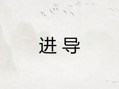 进导
