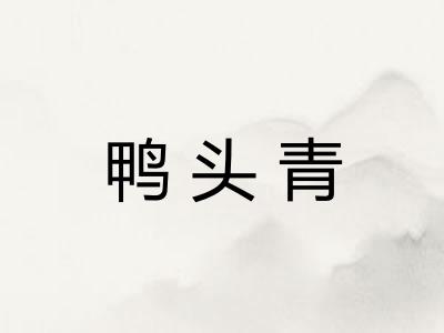 鸭头青