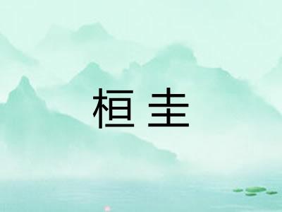 桓圭