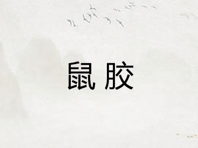 鼠胶