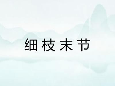 细枝末节