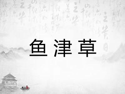 鱼津草 鱼津草