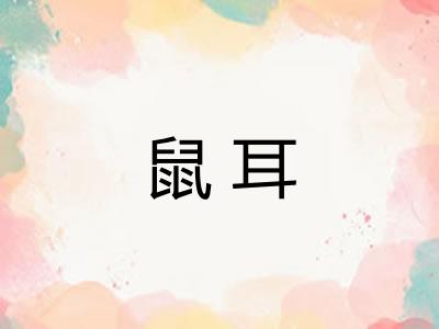 鼠耳