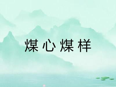 煤心煤样