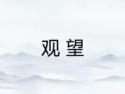 观望