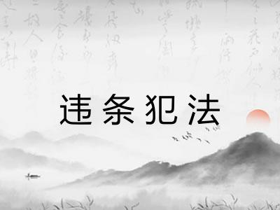 违条犯法