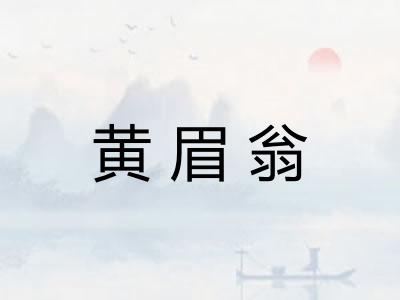 黄眉翁