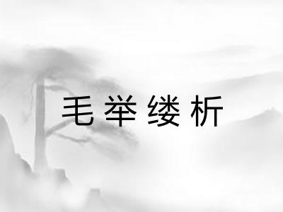 毛举缕析