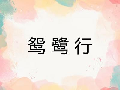 鸳鹭行
