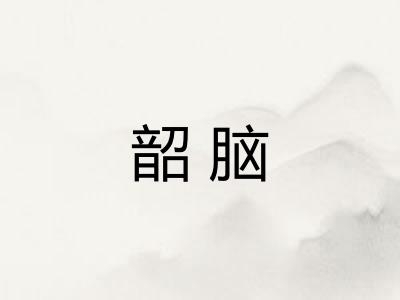 韶脑