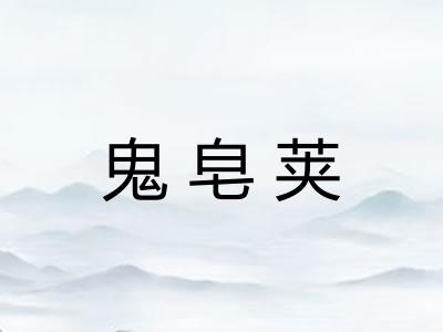 鬼皂荚 鬼皂荚