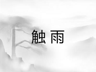 触雨