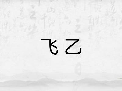 飞乙