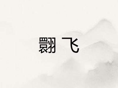翾飞