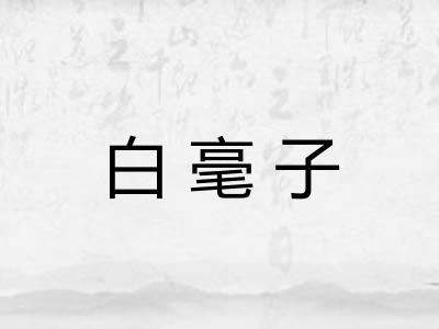 白毫子
