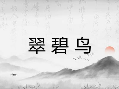 翠碧鸟 翠碧鸟