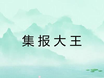 集报大王