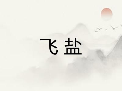 飞盐