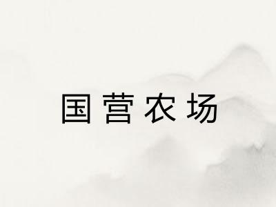 国营农场