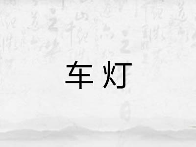 车灯 车灯