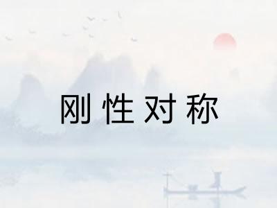 刚性对称 刚性对称