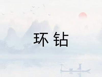 环钻