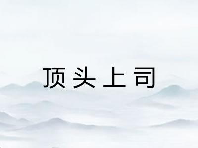 顶头上司