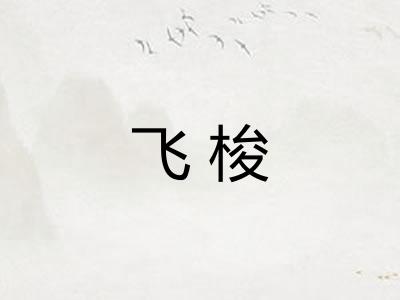 飞梭