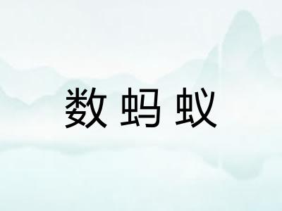 数蚂蚁