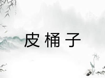 皮桶子