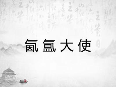 氤氲大使