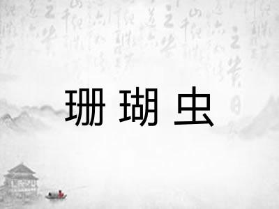 珊瑚虫
