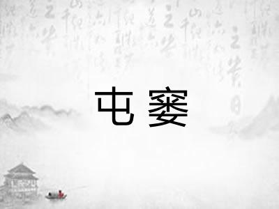 屯窭