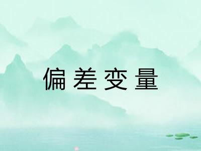 偏差变量
