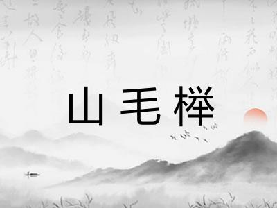 山毛榉