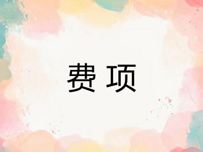 费项