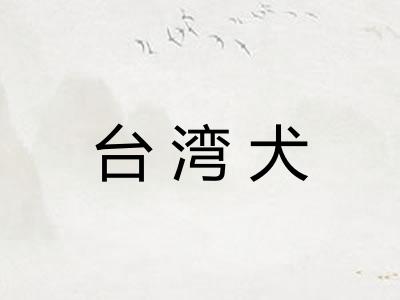 台湾犬