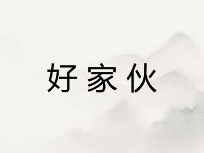好家伙