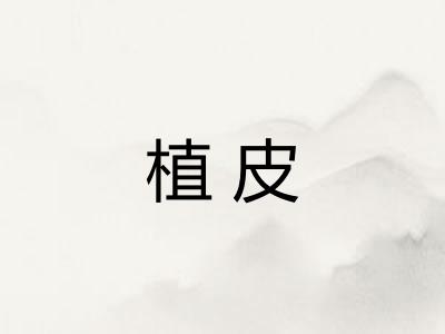 植皮