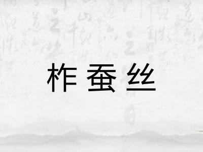 柞蚕丝 柞蚕丝